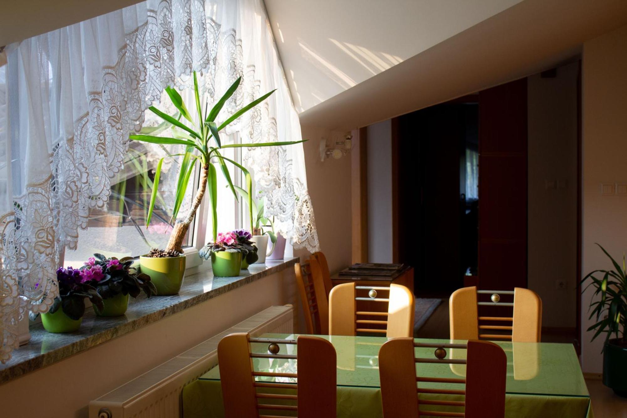Garden Apartments Jansa Radovljica Oda fotoğraf