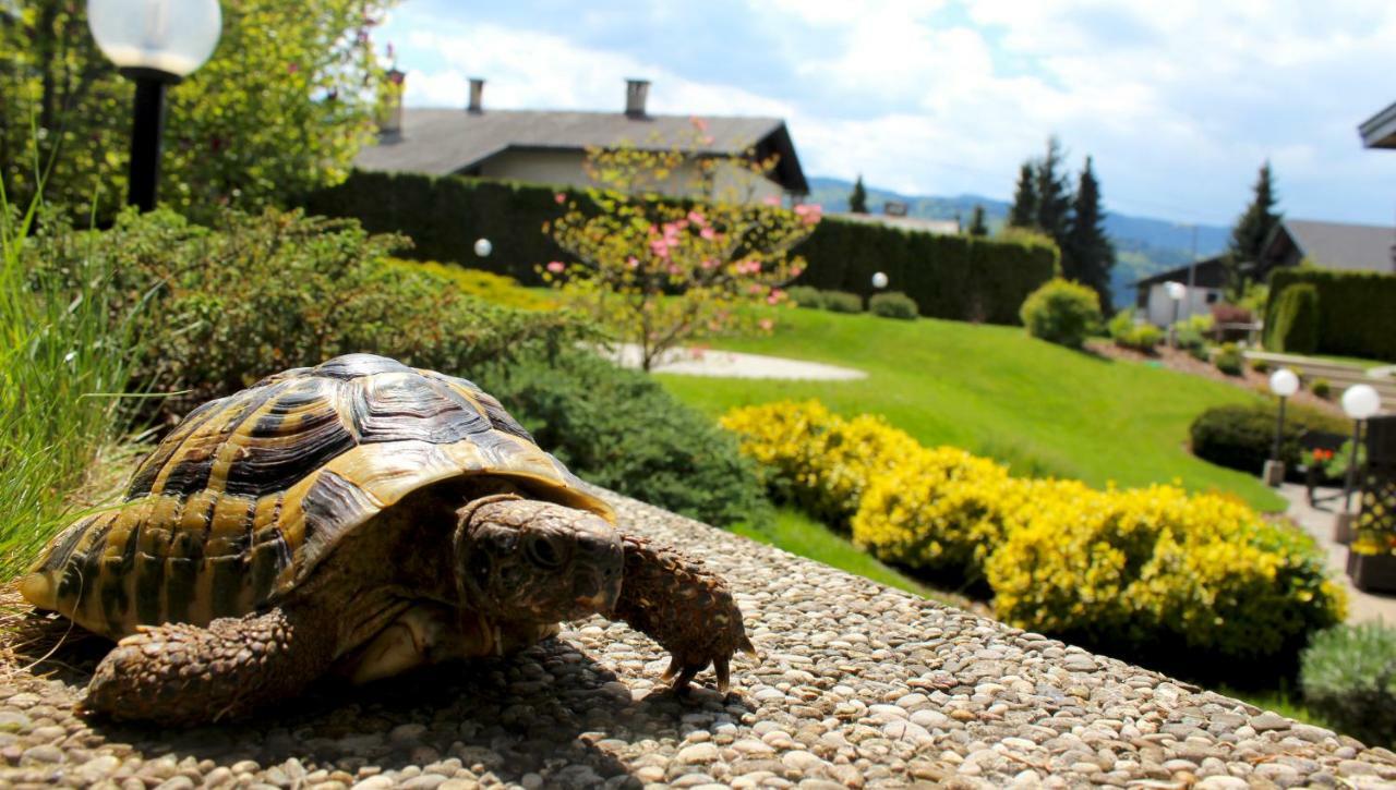 Garden Apartments Jansa Radovljica Dış mekan fotoğraf